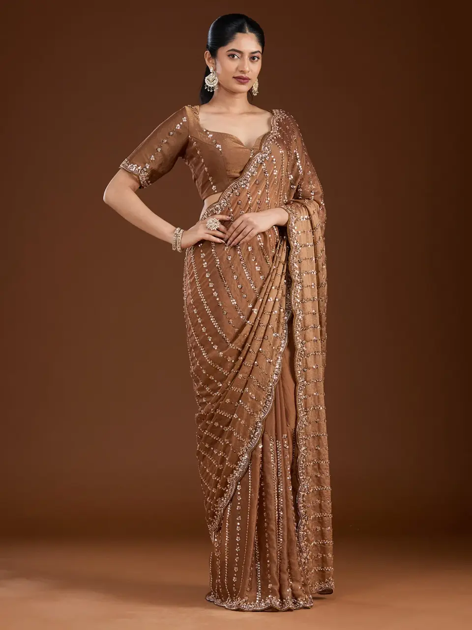 Cutdana Tissue Saree